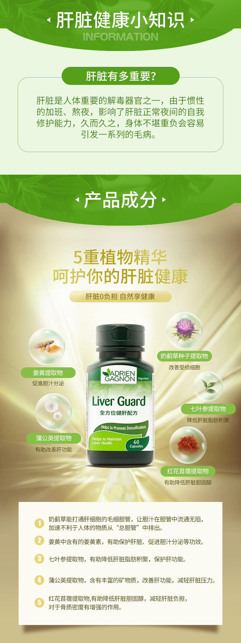 加拿大进口 枫之宝 奶蓟草护肝胶囊 60粒/瓶  熬夜应酬必备 图2