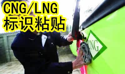 Déco pour vélo - Ref 2276331 Image 5