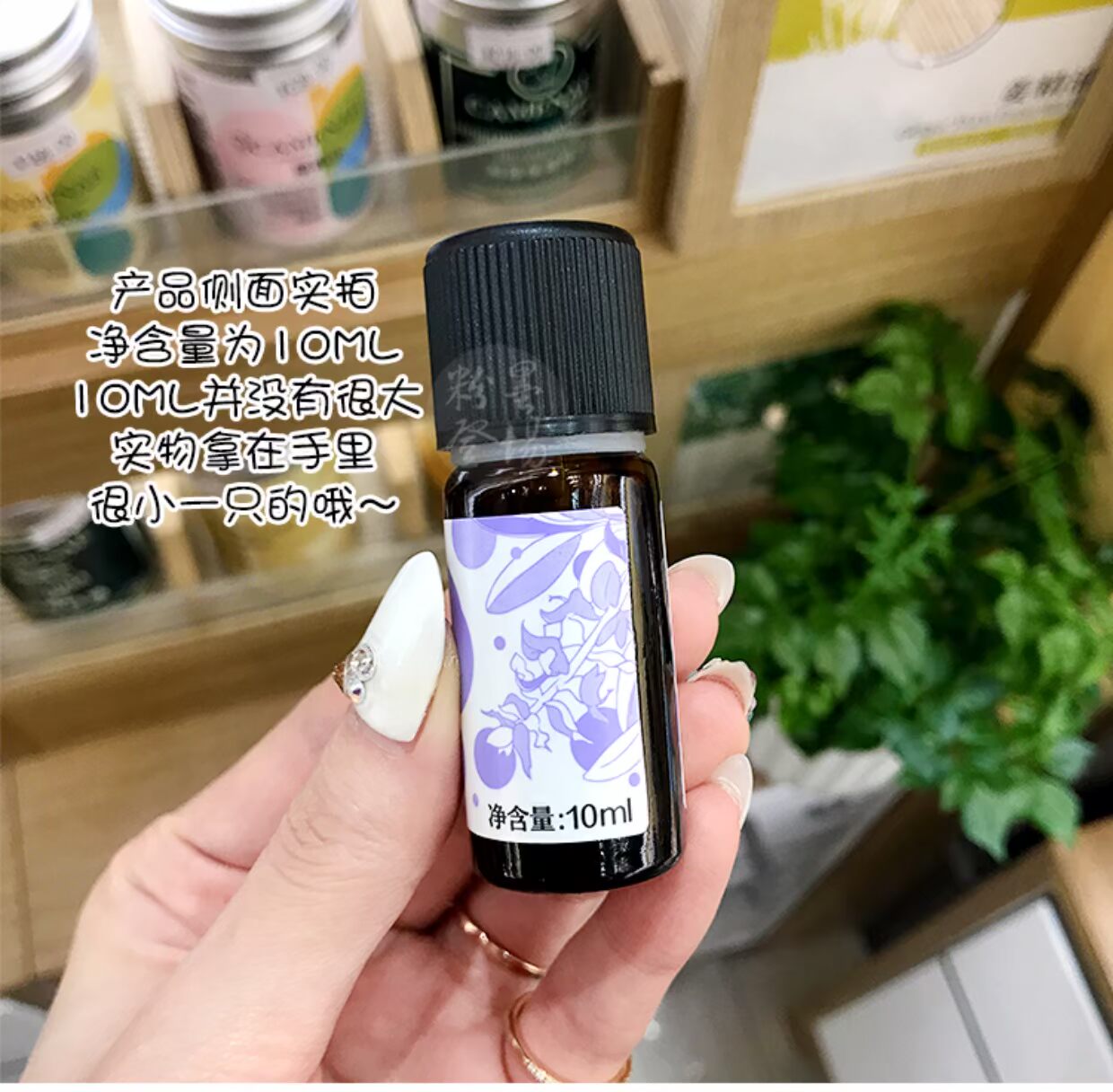 Jiamei Le Happy Sage Essential Oil 10ml Firming Skin Oil Control Shrinkage Pore Single Essential Oil Aromather Liệu tinh dầu bưởi mọc tóc