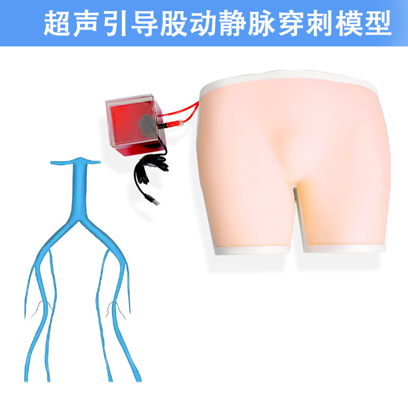 超声引导股动静脉穿刺模型左右股血管介入训练带血液循环一体成型