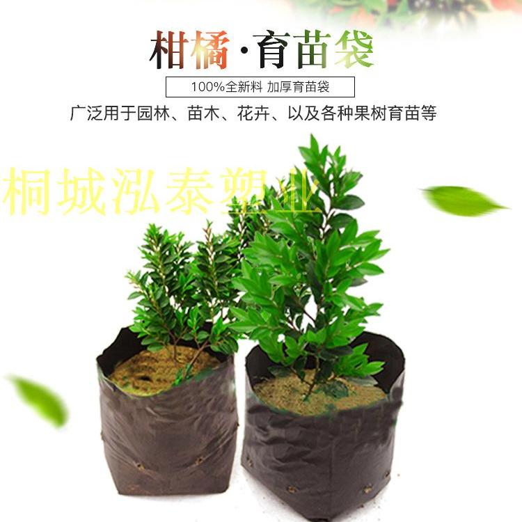 桐城泓泰塑业的LOGO