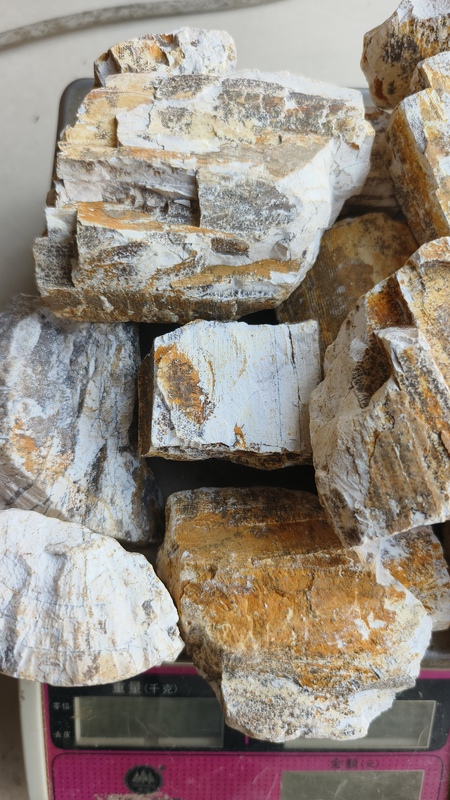 Authentic Five-Flower Dragon Bone (Carefully Selected Pieces) Guaranteed to Be Genuine, 500 Grams Per Piece, Free Shipping