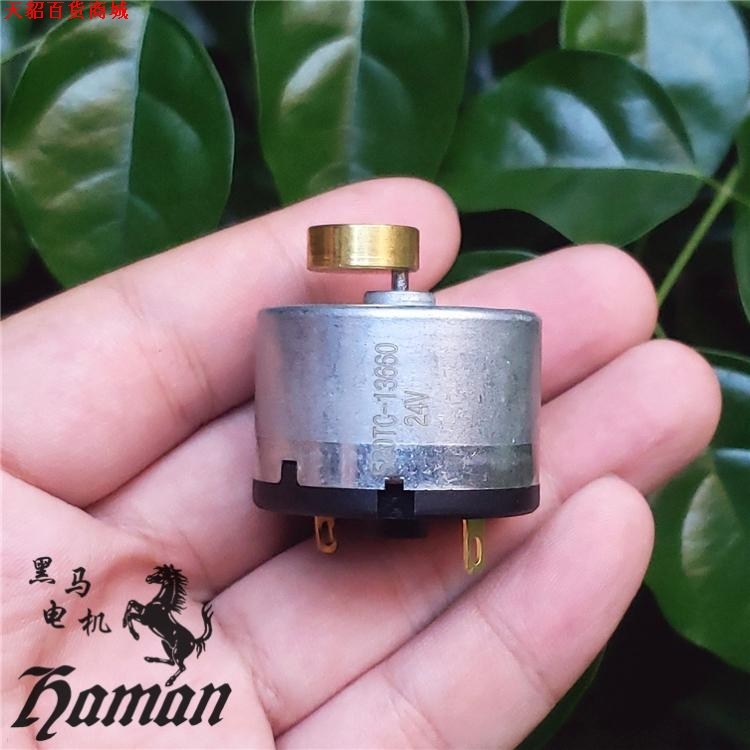 24 V small shake motor 520 shake motor 6 V 12 V 24 V 24 V be compatible with diy heart cup-Taobao