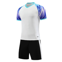 College Student Gas Volleyball Competition Special Clothing Autumn Winter Four Sets Customized Sports Competition Team Wear Feather Training Clothing