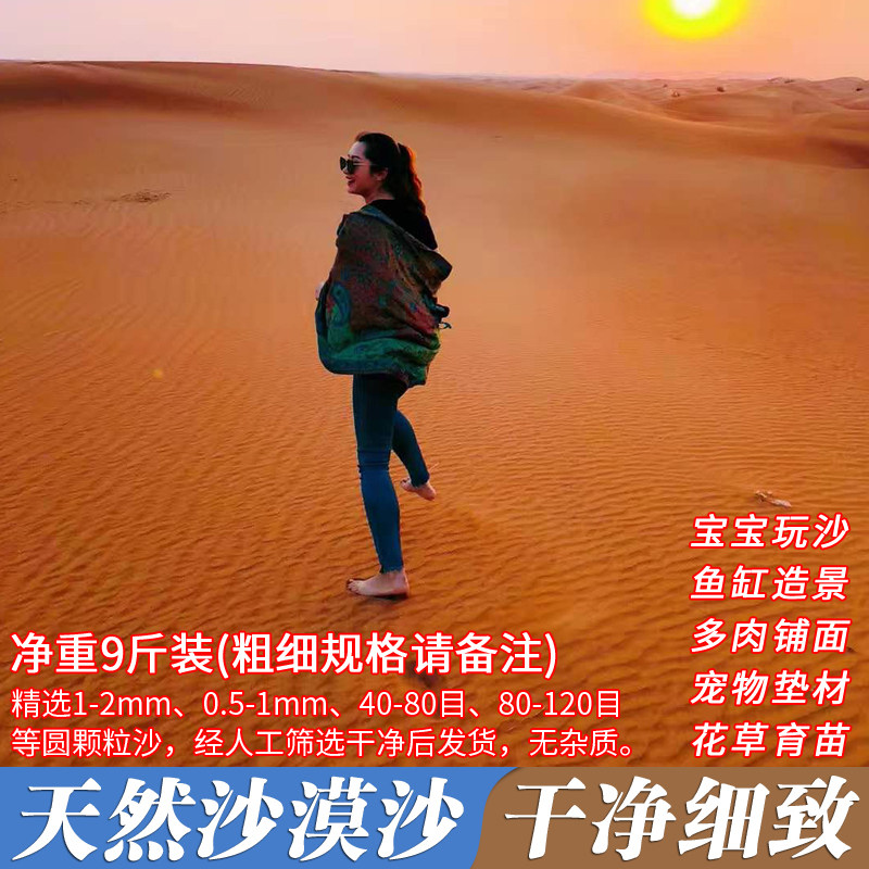 Natural Desert Fine Sand Children Orchestra Young Children Toy Sand Nursery Hamster Bath Sand Multi-Meat Paved Fish Bowl