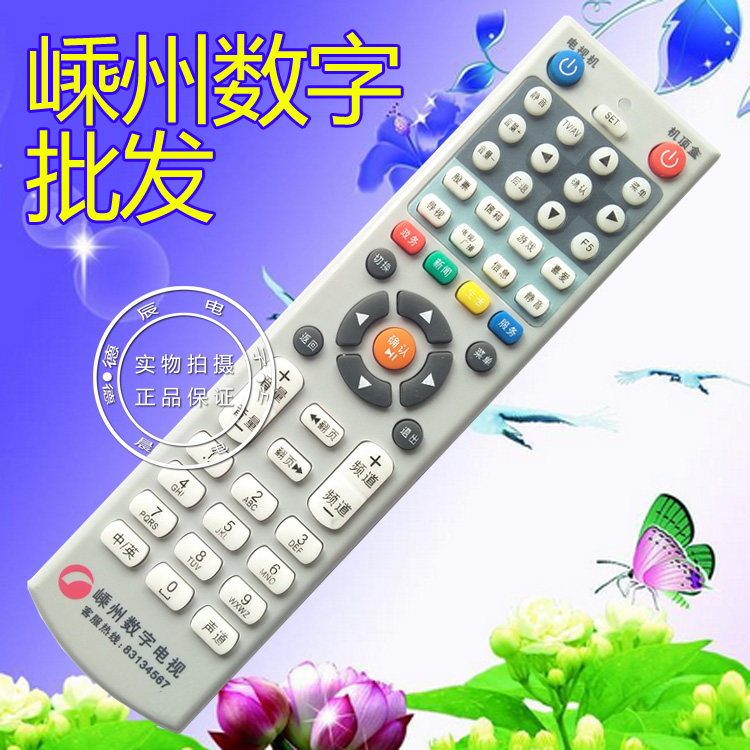 Zhejiang Jinhua Cable Huashu Cangnan Shengzhou Kaihua Digital TV Set-top Box Remote Control Board Remote Control Wholesale