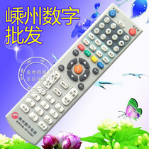 Zhejiang Jinhua Cable Huashu Cangnan Shengzhou Kaihua digital TV set-top box remote control board remote control wholesale