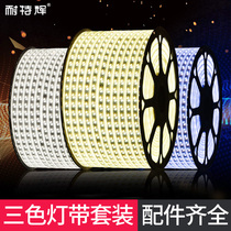 Light strip led three-color home color changing living room ceiling romantic creative flexible 220V super bright waterproof soft light strip