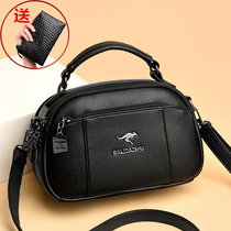 Casual small bag women 2020 new middle-aged soft leather Wild Lady shoulder bag simple fashion shoulder Hand bag