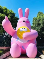 3M милый кролик + поклонник