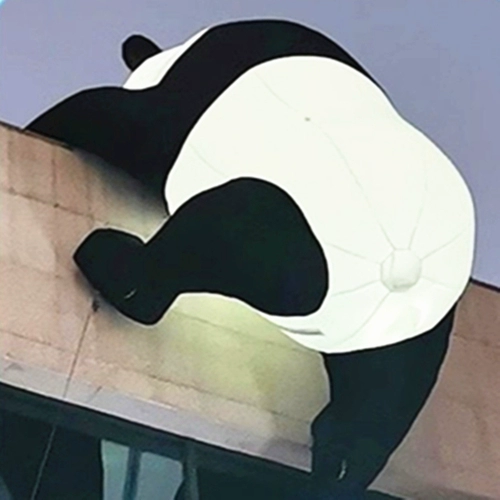 Индивидуальные надувные цветы Glow Mall Creative Beauty Chen Модельная плюшевая любовь насильственная панда мультфильм декоративная газовая форма