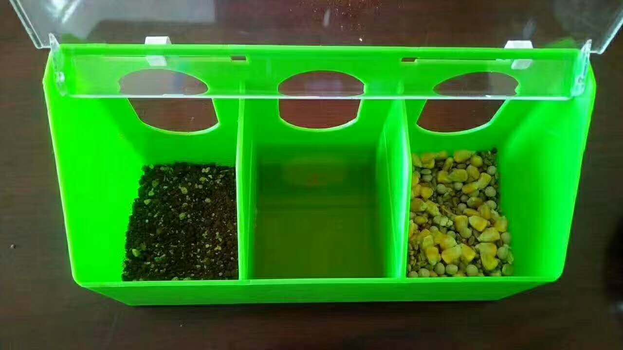 Chim bồ câu máng cung cấp hộp chống rắc có nắp máng gà chìm máng nước hộp thư chim bồ câu - Chim & Chăm sóc chim Supplies long chim dep