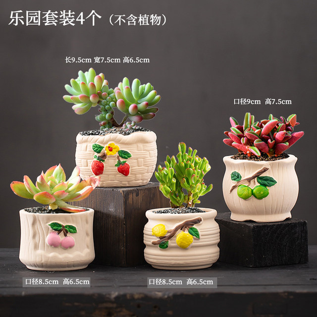 Ceramic succulent flowerpots factory direct sales home internet celebrity simple creative plain-fired small succulent flowerpots clearance