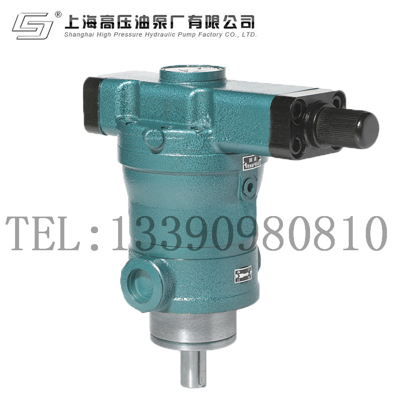 Shanghai High Pressure Oil Pump Factory 10 16 25 32 40 63 80 100 160YCY14-1B Axial Piston Pump