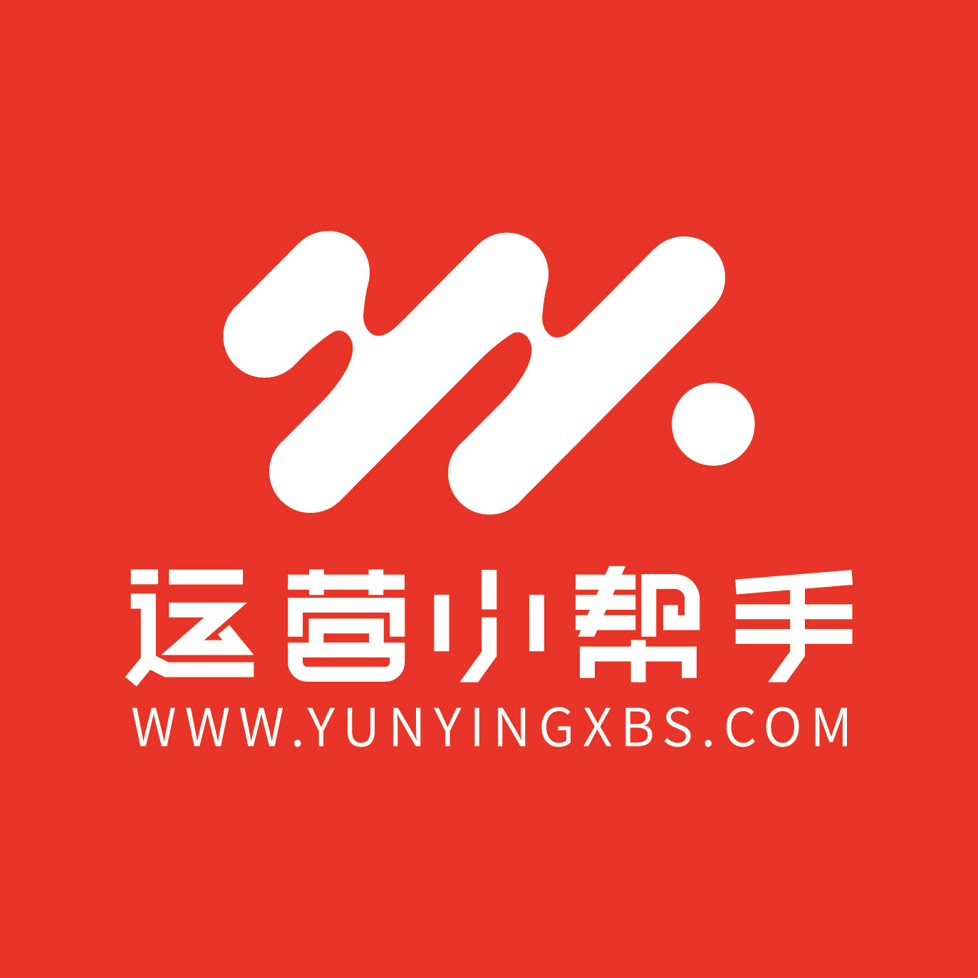 运营小帮手企业店