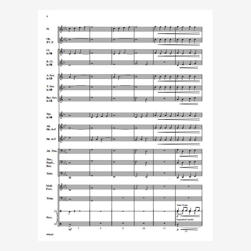 走进音乐启蒙：小学生管乐合奏神话0.5版的秘密