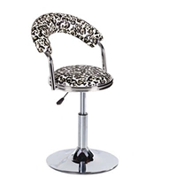 Leopard -print Chair Disc