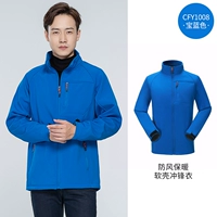 CFY1008 Treasure Blue