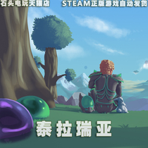 PC Chinese Authentic Steam Platform Country Sandbox Online Game Terraria Terraria