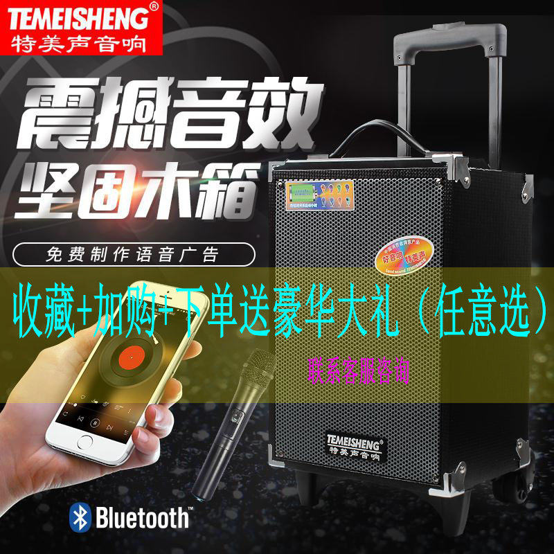 Temei Acoustic Sound Square Dance Sound Portable Card Player 8 Inch Mobile Larch Outdoor Speaker