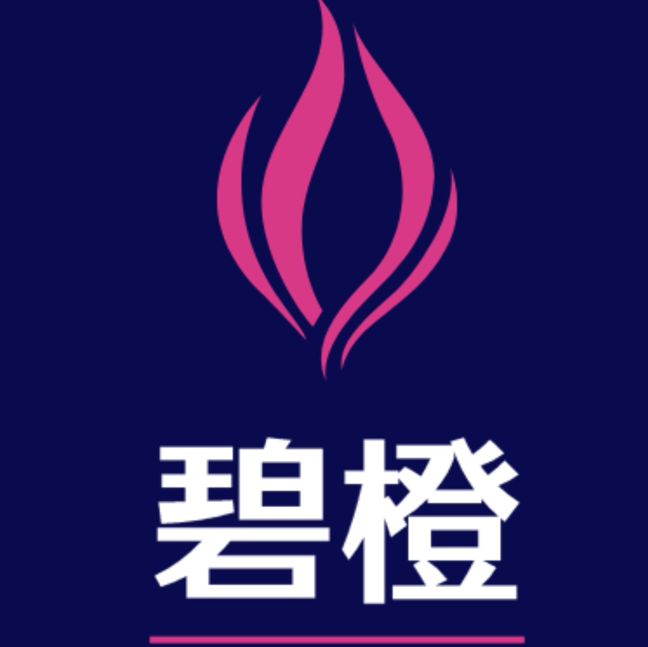 碧橙养生仪器工厂店