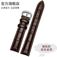 Коричневая серебряная булавка