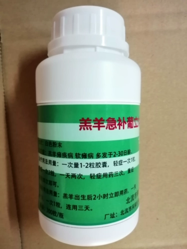 Мягкая парализованная капсула болезнь ягненка, кризисная первая помощь, паралич, паралич, ходьба, нестабильная, нестабильная, не употребляя молоко и свободу