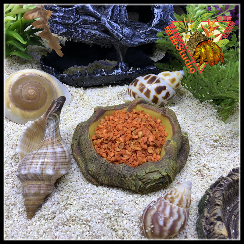 Hermit crab food 50g Hermit crab feed Radish diced radish Dry hermit crab ration warehouse