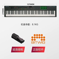 88+ подлинное программное обеспечение+ педали