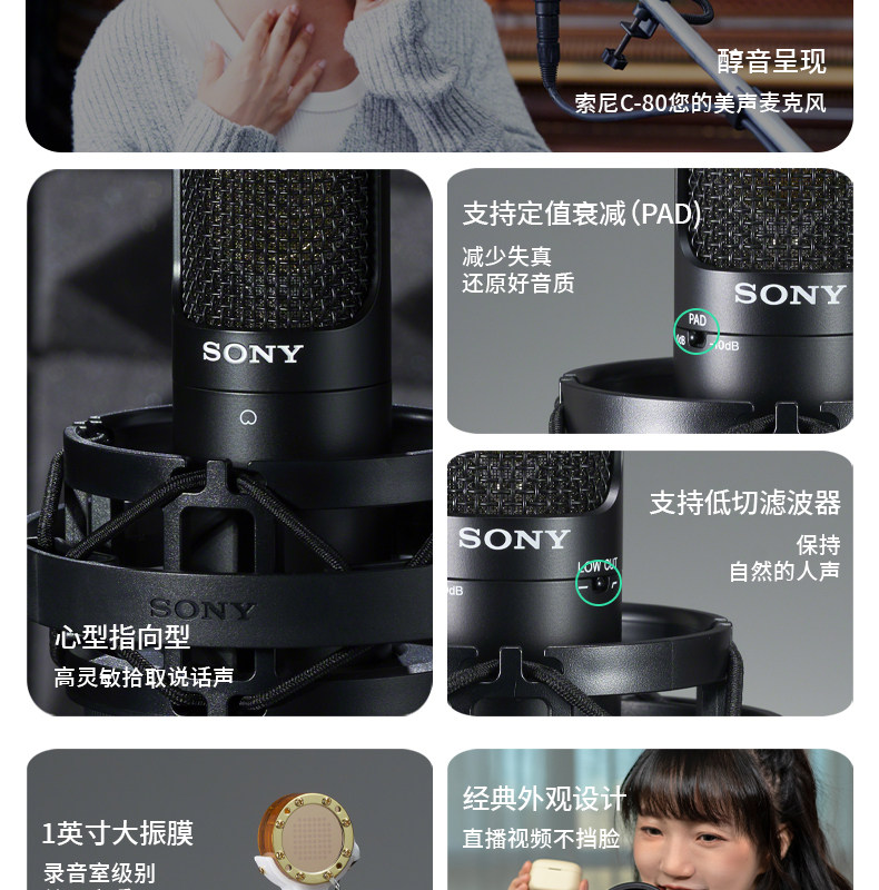 Sony/索尼 C-80 C-100电容麦克风 主播K歌游戏有声书ASMR录音话筒