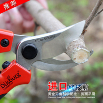 De Shibao imported gardening scissors garden rough shears pruning branches pruning shears German pruning branches fruit shears