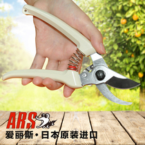 Japan imported pruning shears Alice 130DX pruning branches scissors horticultural scissors fruit tree shears