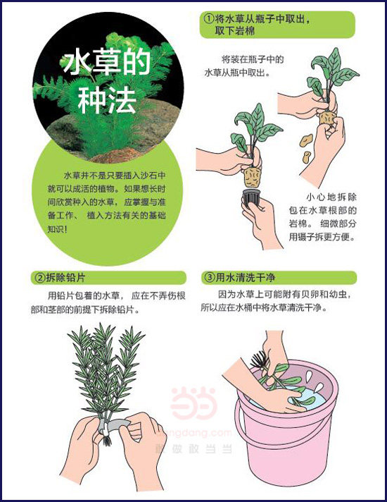 [插图]