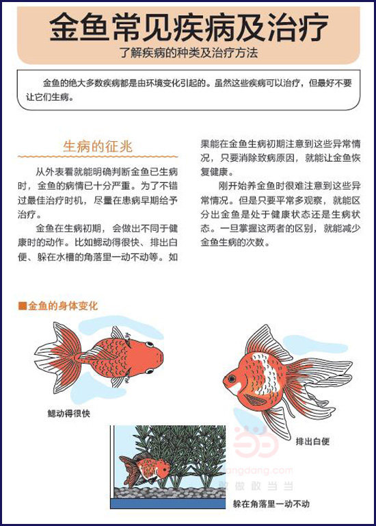 [插图]