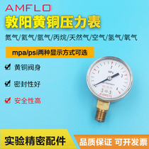 dun yang brass pressure gauge 1 4NPT interface valve supporting 0 6 1 6 2 5 25Mpa amflo