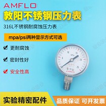 Dunyang AMFLO stainless steel pressure gauge 316 corrosive gas available 1 4NPT interface pressure reducing valve matching
