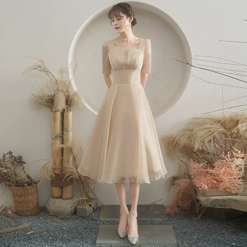 Демисезонное платье подружки невесты, небольшое вечернее платье, цвета шампанского, подходит для подростков