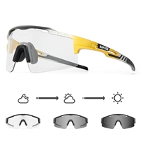 13 черная серебряная золотая рамка белая этикетка + прозрачный серый