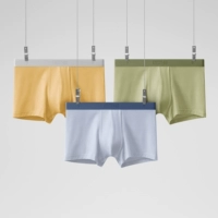 [Шелковая кожа] Шинан Лан (туман синий)+фрукты Qing+gan желтый