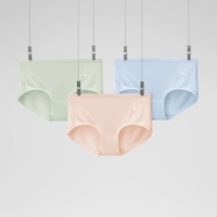 [Высокая талия] Абрикосовый порошок азотного молока + серо-водородный зеленый лист + кальций морской небесно-голубой