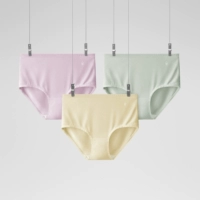 [Высокая талия] белый и зеленый + сладкий пудинг + лед орхидеи