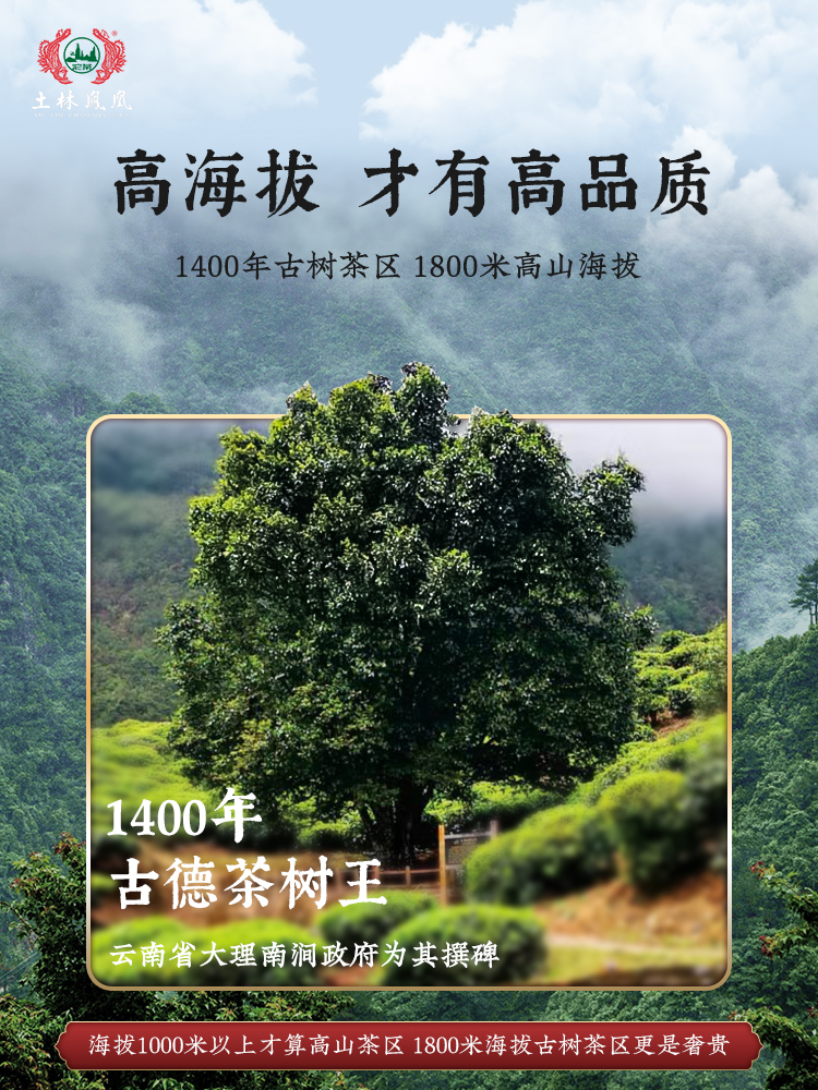 土林凤凰 8505系列 2022年 250g凤凰茶砖（普洱茶生茶）口粮茶608