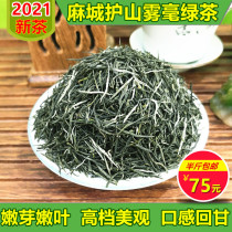 2021 New tea Hubei Macheng Tea Care mountain Wuhao green Tea Yunwu Maofeng bulk fragrance 250g