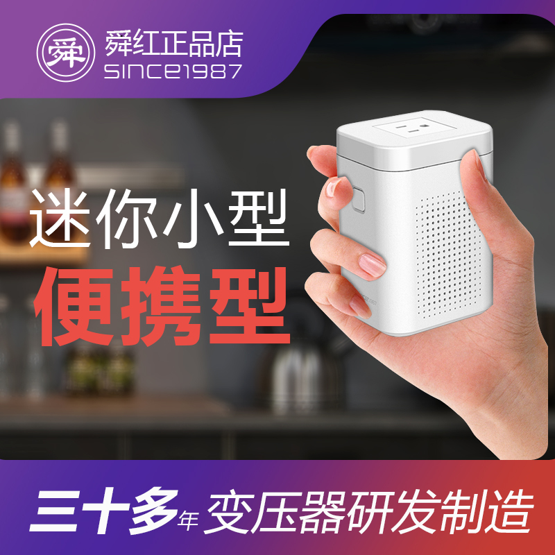 Transformer 220V to 110V Plug Low-Power Dental Cleaner Electric Toothbrush Charger Voltage Converter