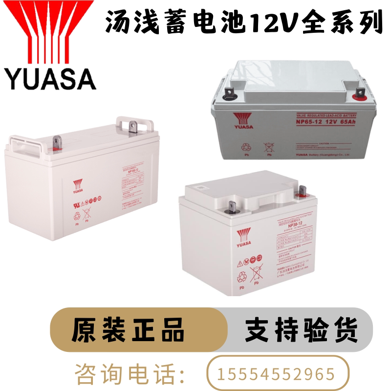 Soup light storage battery 12V24AH38AH65AH100AH120AH210AHUPS solar DC screen base station