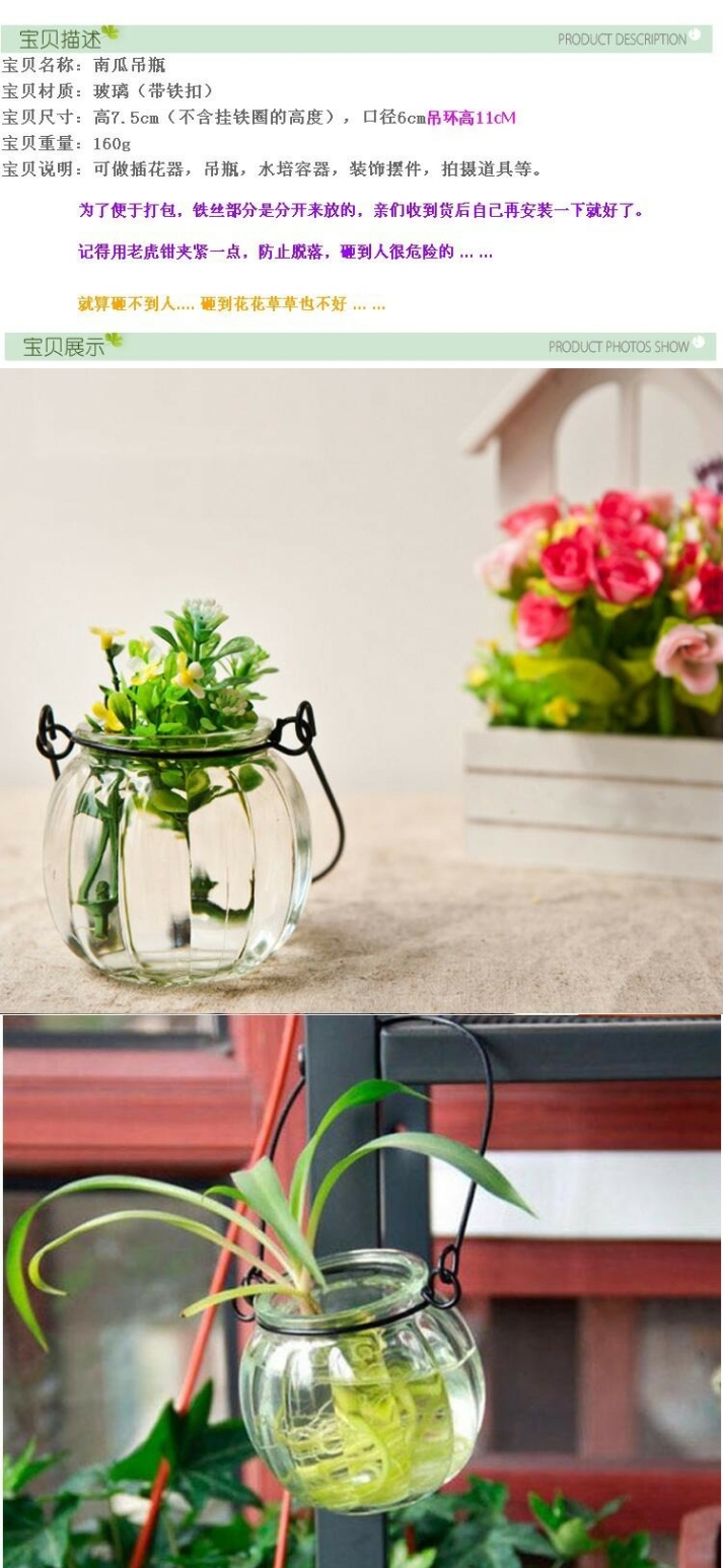 Treo tường bình treo nhỏ chai thủy tinh đơn giản treo chai thủy tinh Có móc dây thủy canh chậu hoa - Vase / Bồn hoa & Kệ bình cắm đào