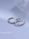 S925 silver earrings for women, light luxury temperament, plain earrings, 2025 new hot style earrings, earrings, high-end earrings