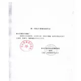 Грудное поясничное позвоночное разветвление