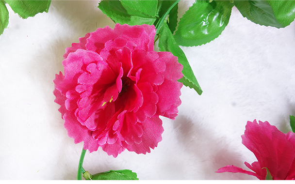 Trang trí hoa nho giả hoa chống thực hoa cửa trước cửa nhựa hoa phòng ngủ trong nhà mô phỏng mây hoa nho quanh co - Hoa nhân tạo / Cây / Trái cây cây xanh giả