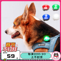 Truelove pet LED light walking dog at night to prevent losing dog luminous pendant waterproof teddy luminous dog tag